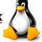 Linux学习记录01